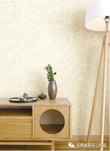 一般家的照片,捕捉日常生活的美好瞬间