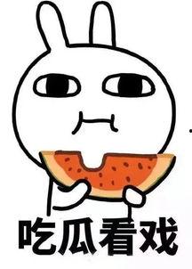 旺仔娱乐吃瓜,揭秘娱乐圈吃瓜背后的真相与内幕