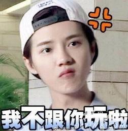鹿晗生气可爱表情包,生气表情包中的可爱魅力